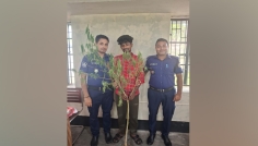 কাউখালীতে গাঁজা গাছসহ যুবক আটক