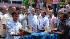 পেটে ভাত পড়তে কাজ করতে হবে, তরুণদের মির্জা ফখরুল