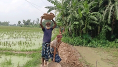 স্বেচ্ছাশ্রমে জমির আইল হলো রাস্তা, স্বস্তিতে দুই গ্রামের মানুষ