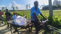 শেরপুরে ধানক্ষেত থেকে ইজিবাইক চালকের মরদেহ উদ্ধার