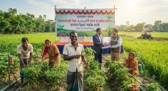 উত্তরবঙ্গের কৃষি বিপ্লবে বাংলাদেশ ব্যাংকের ৩ হাজার কোটি টাকার তহবিল
