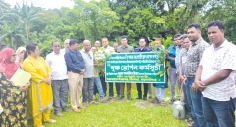 ঈশ্বরগঞ্জ পৌরসভার উদ্যোগে বৃক্ষরোপণ