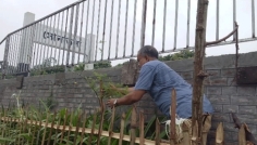 সোনাতলা রেলস্টেশনে ‘বৃক্ষ মাসুদ’র সবুজায়ন