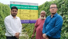 ধামরাইয়ে আধুনিক ‘মালচিং’ পদ্ধতিতে বিষমুক্ত সবজি চাষ
