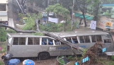 ভারী বর্ষণে জবির বাসের ওপর ভেঙে পড়ল বিশাল গাছ, অল্পের জন্য প্রাণে বাঁচলেন শিক্ষার্থীরা