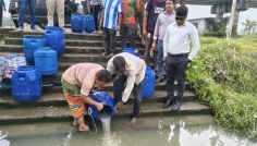 টুঙ্গিপাড়ায় ১২ লাখ টাকার চিংড়ির রেনু জব্দ, নদীতে অবমুক্ত