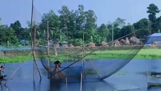 সিরাজগঞ্জে হারিয়ে যাচ্ছে ‘মাছে-ভাতে বাঙালি’র চিরচেনা রূপ