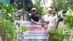 মেছগাঁও উন্নয়নমূলক ফাউন্ডেশনের বৃক্ষরোপণ কর্মসূচি অনুষ্ঠিত