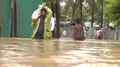 অতিবৃষ্টি, পাহাড়ি ঢলে মৃতের সংখ্যা বেড়ে ৫৬