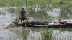 সিরাজগঞ্জের জলাশয়ে চায়না দুয়ারির থাবা, বিলুপ্তির ঝুঁকিতে দেশি মাছ