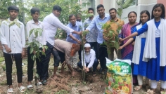 আদমদীঘিতে স্কুল চত্বরে পরিষ্কার-পরিচ্ছন্নতা ও বৃক্ষরোপণ কর্মসূচি পালিত