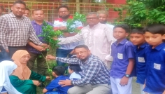 কাউখালীর ৬৭ সরকারি প্রাথমিক বিদ্যালয়ে গাছের চারা রোপণ