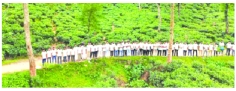 তরুণ লেখকদের সিলেট ভ্রমণ
