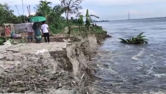 যমুনায় পানি বৃদ্ধি: সিরাজগঞ্জে তীব্র ভাঙন, দিশেহারা নদীপাড়ের মানুষ