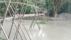 নিম্নচাপ ও জোয়ারের পানিতে প্লাবিত ঝালকাঠি, দিশেহারা কৃষকরা