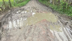 সাটুরিয়ার কমলপুর-কৈজুরী সড়কের বেহাল দশা, দুর্ভোগে হাজারো মানুষ
