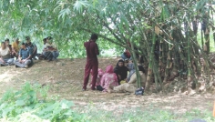 বিরামপুর সীমান্তে বিএসএফের পুশ-ইন প্রতিহত করলো বিজিবি