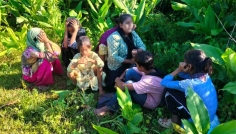 পরশুরাম সীমান্তে ৭ জনকে পুশ ইনের চেষ্টা বিএসএফের, বিজিবির বাধায় ব্যর্থ