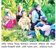 তিন জেলায় ২৩ জনকে পুশইনের চেষ্টা, রুখে দিল বিজিবি