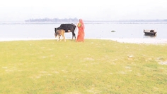 সোনারগাঁয়ে মায়াদ্বীপ যোগাযোগ বিছিন্ন   