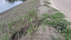 চাঁদপুরে বাঁধ সংস্কারে অনিয়মের অভিযোগ, সামান্য বৃষ্টিতেই ধস