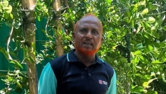 ধামরাইয়ে ছোট ভাইয়ের স্ত্রীকে ধর্ষণের অভিযোগ, থানায় মামলা