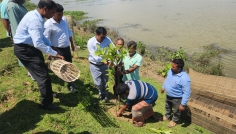 ঝিনাইগাতীতে বৃক্ষরোপণ কর্মসূচি