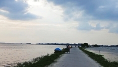 বন্যায় গো-চারণভূমি ডুবে দুধ উৎপাদনে ভাটা, সংকটে খামারিরা