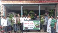 তাড়াশে বিনামূল্যে গাছের চারা পেলেন ৫০০ কৃষক