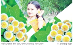 বাতাসে সুবাস, কদম ফুলে সাজগোজ     